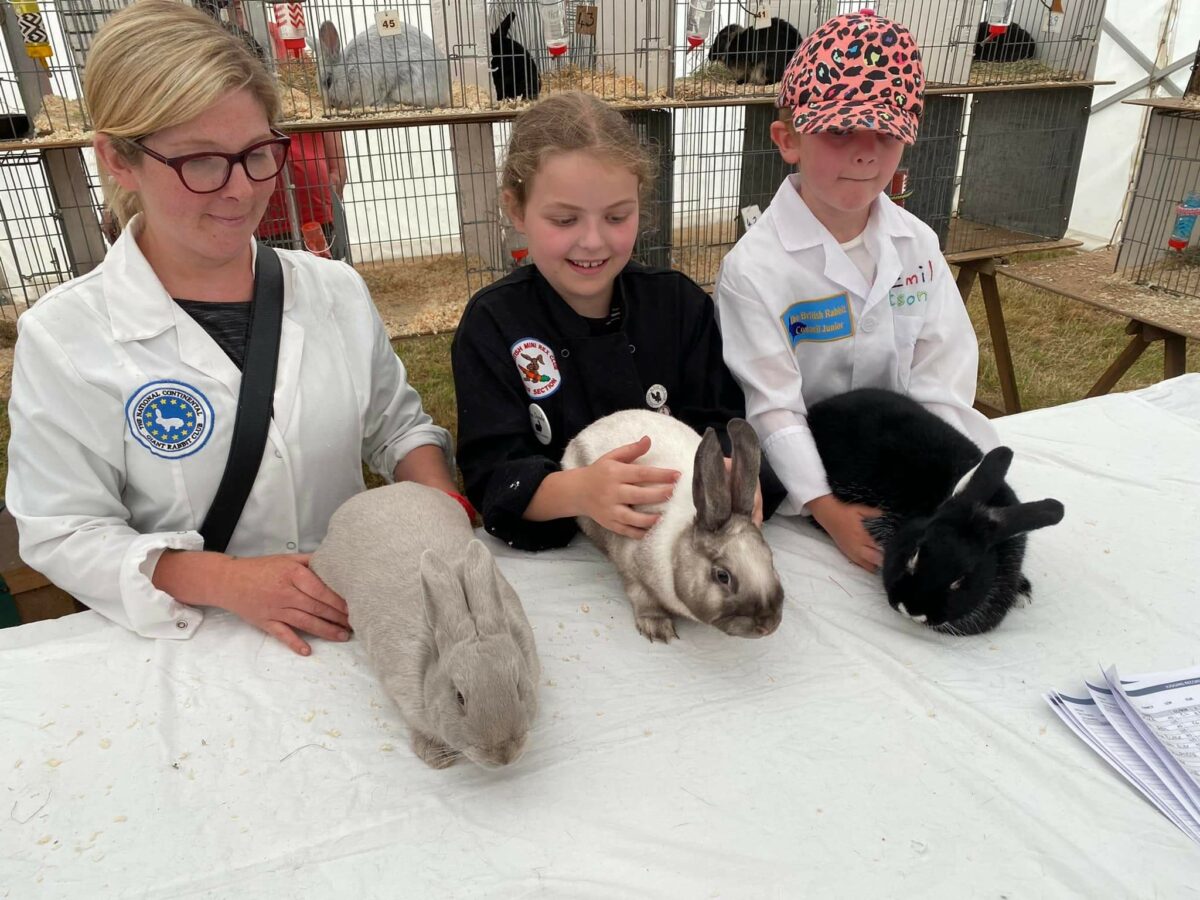 Rabbits 2025 – The Honley Show